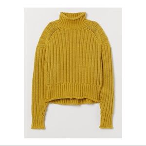 H&M rib knit turtle neck sweater